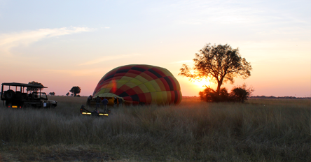 2. Balloon safari
