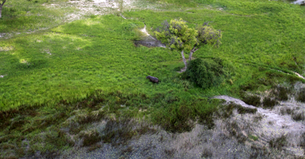 6. Okavango balloon safari